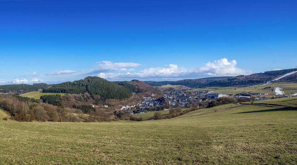 A part of Willingen