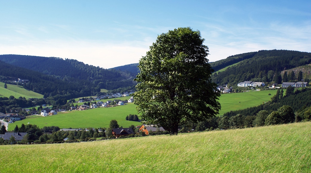 Looking over a part of a german village, seen from a mountain.