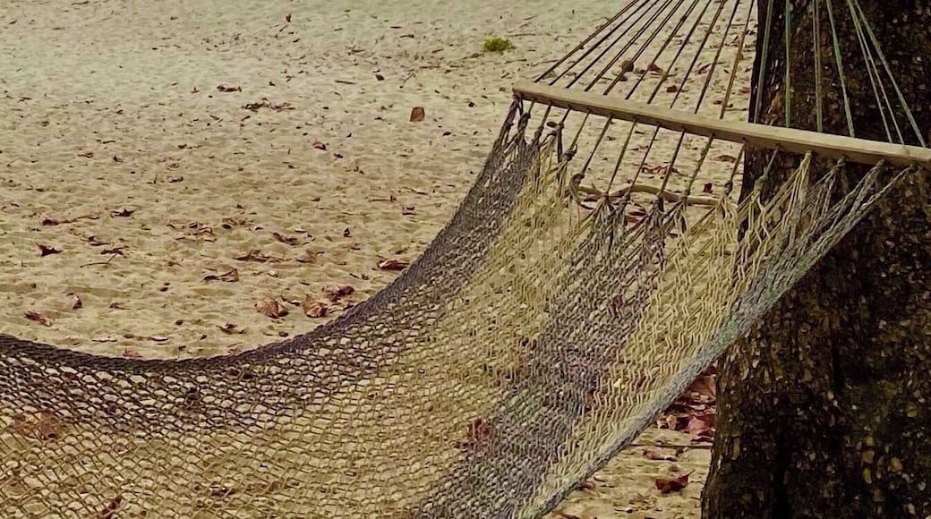 Costa Rica has the most beautiful sunsets!