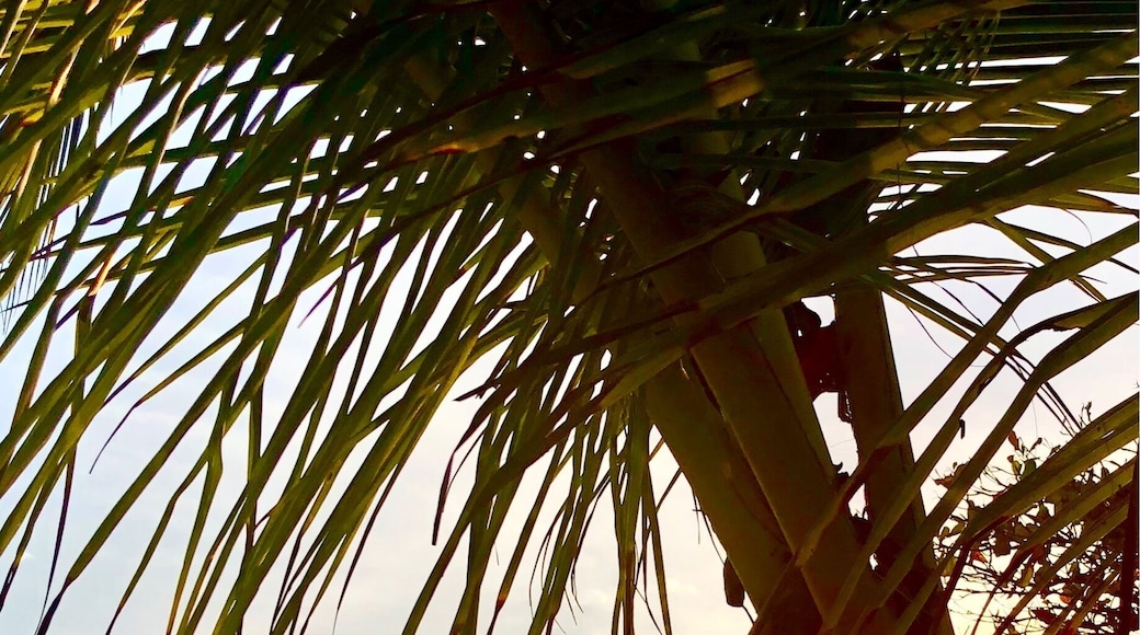 On the beach watching sunset as the surfers finish for the day. Love this place!