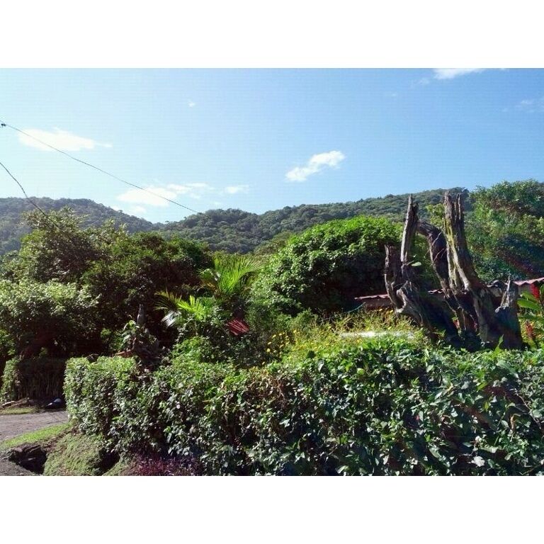 Up to mountain @ santa ana