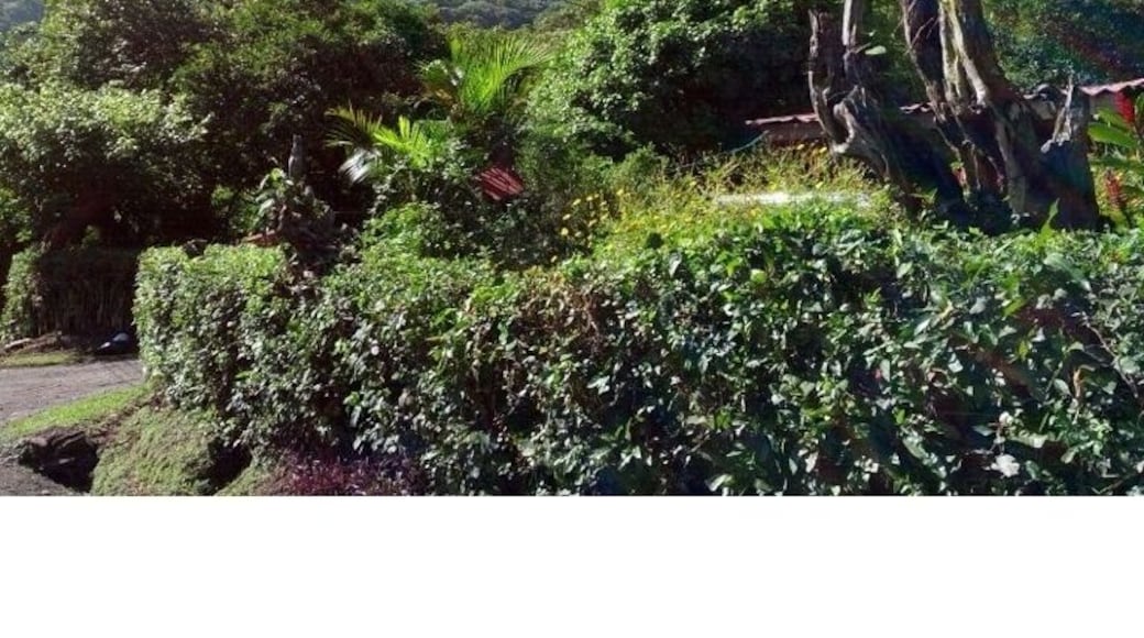 Up to mountain @ santa ana