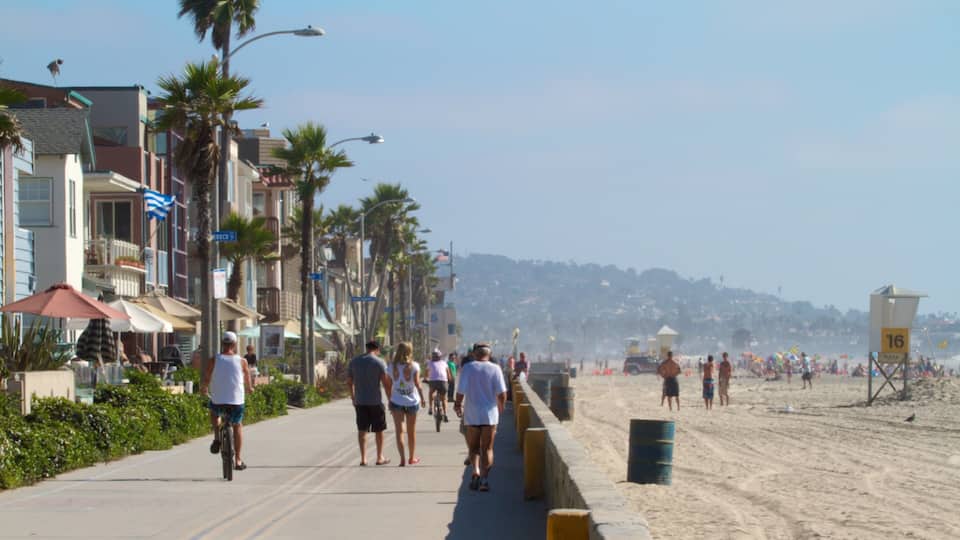Mission Beach featuring tropical scenes, street scenes and a beach