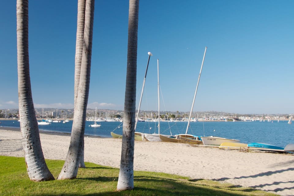 A beach with palm trees, boats, and a clear blue sky.