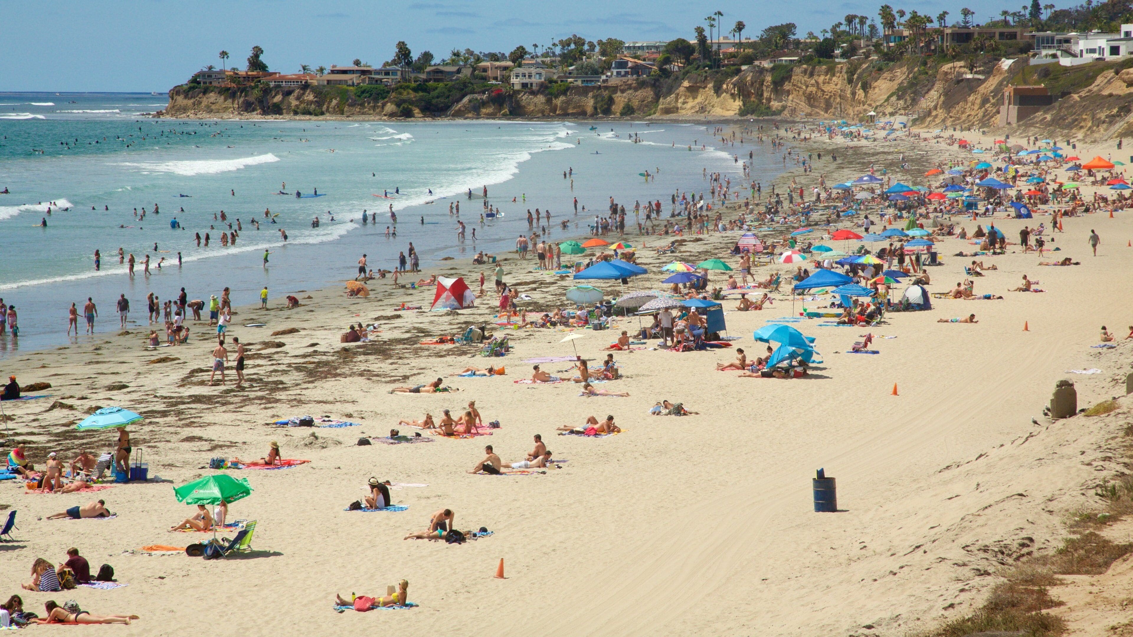 Pacific Beach Park showing a sandy beach as well as a large group of people