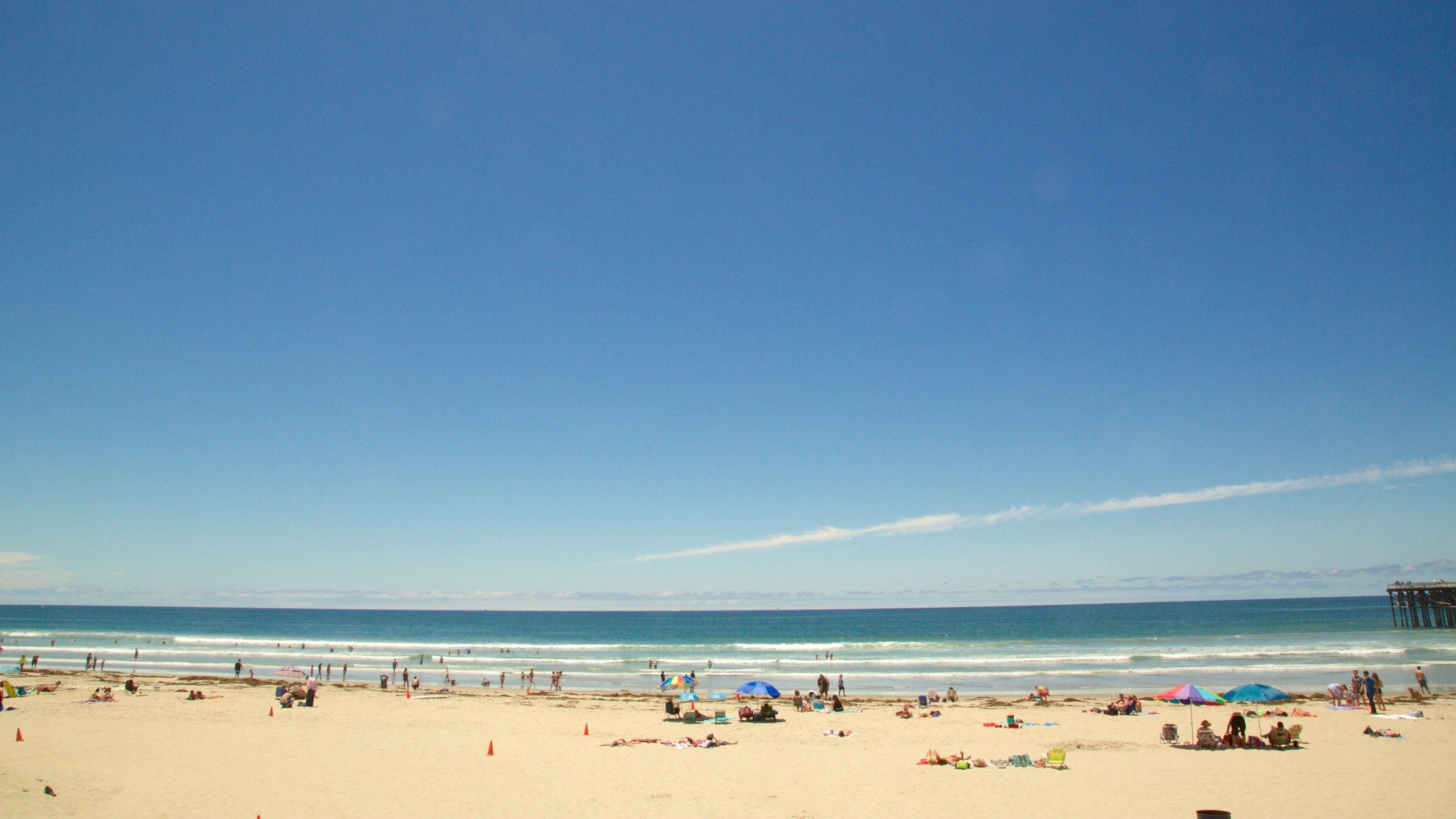太平洋灘公園 呈现出 海灘