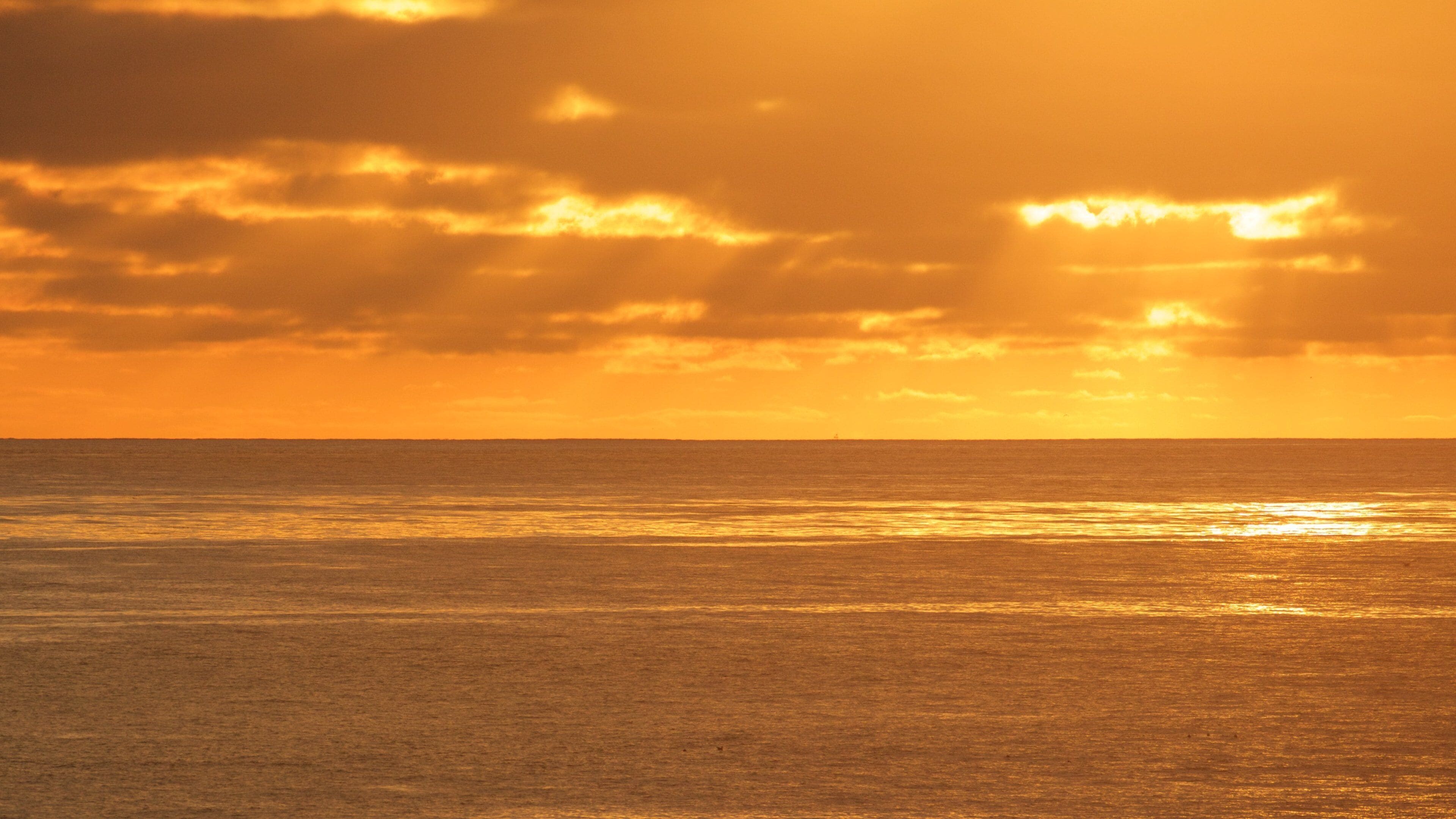 Pacific Beach Park showing general coastal views and a sunset