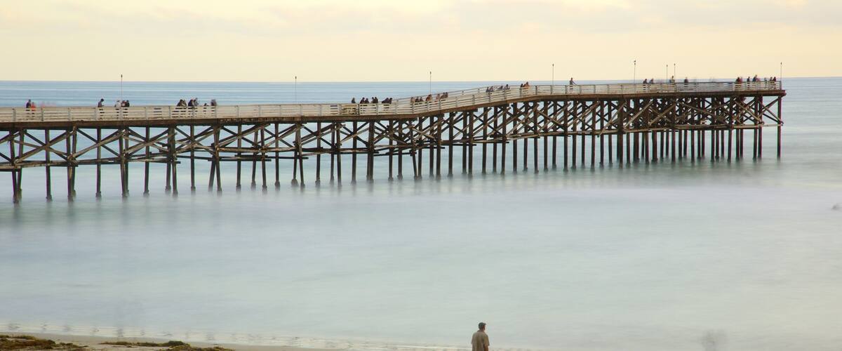 A pier extending into calm waters with people on it and a sandy beach with seaweed and a few individuals.