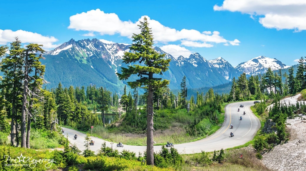 Beautiful view from the top of the Mt. Baker ski and visitor area