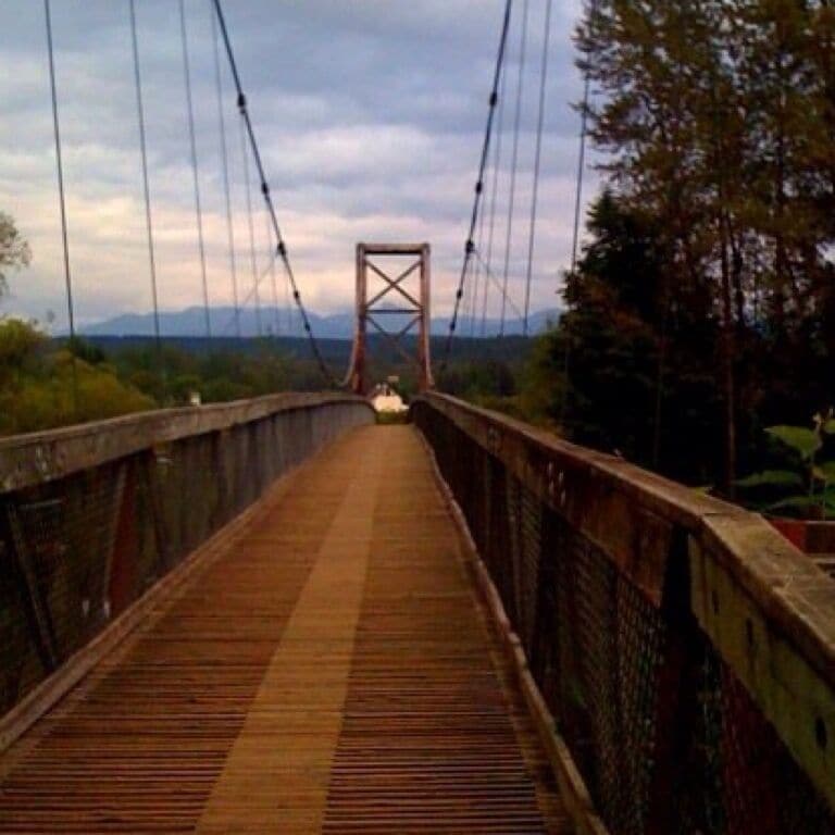 Cool bridge at the park. Nice place to take a walk!