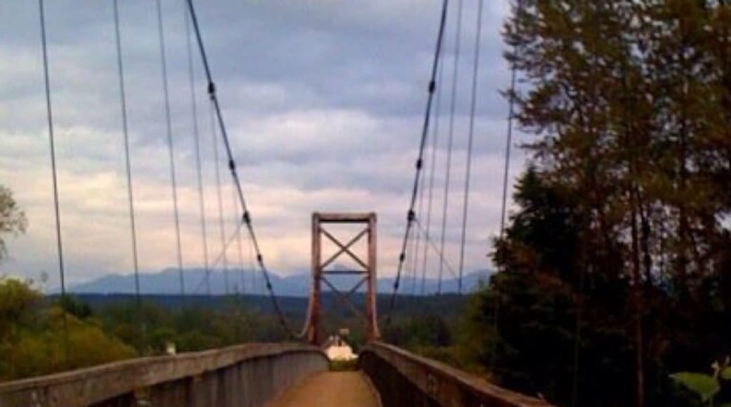 Cool bridge at the park. Nice place to take a walk!