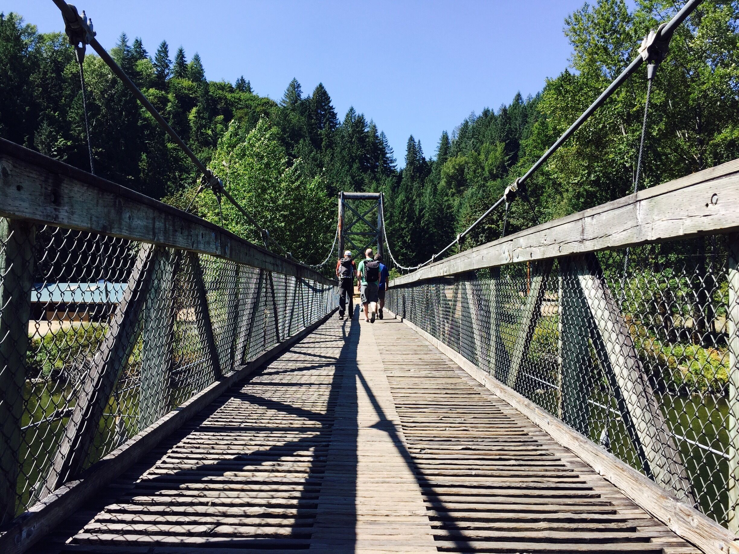 Wooden suspension bridge - I