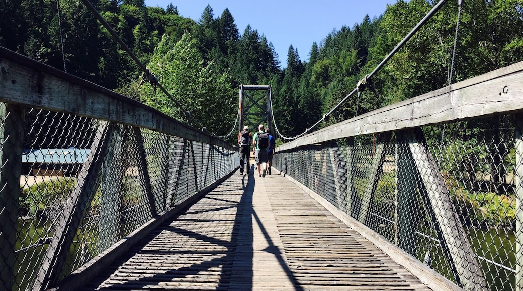 Wooden suspension bridge - I
