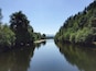 Ein ruhiger Fluss, der von dichten, grünen Bäumen gesäumt wird, unter einem klaren, blauen Himmel.