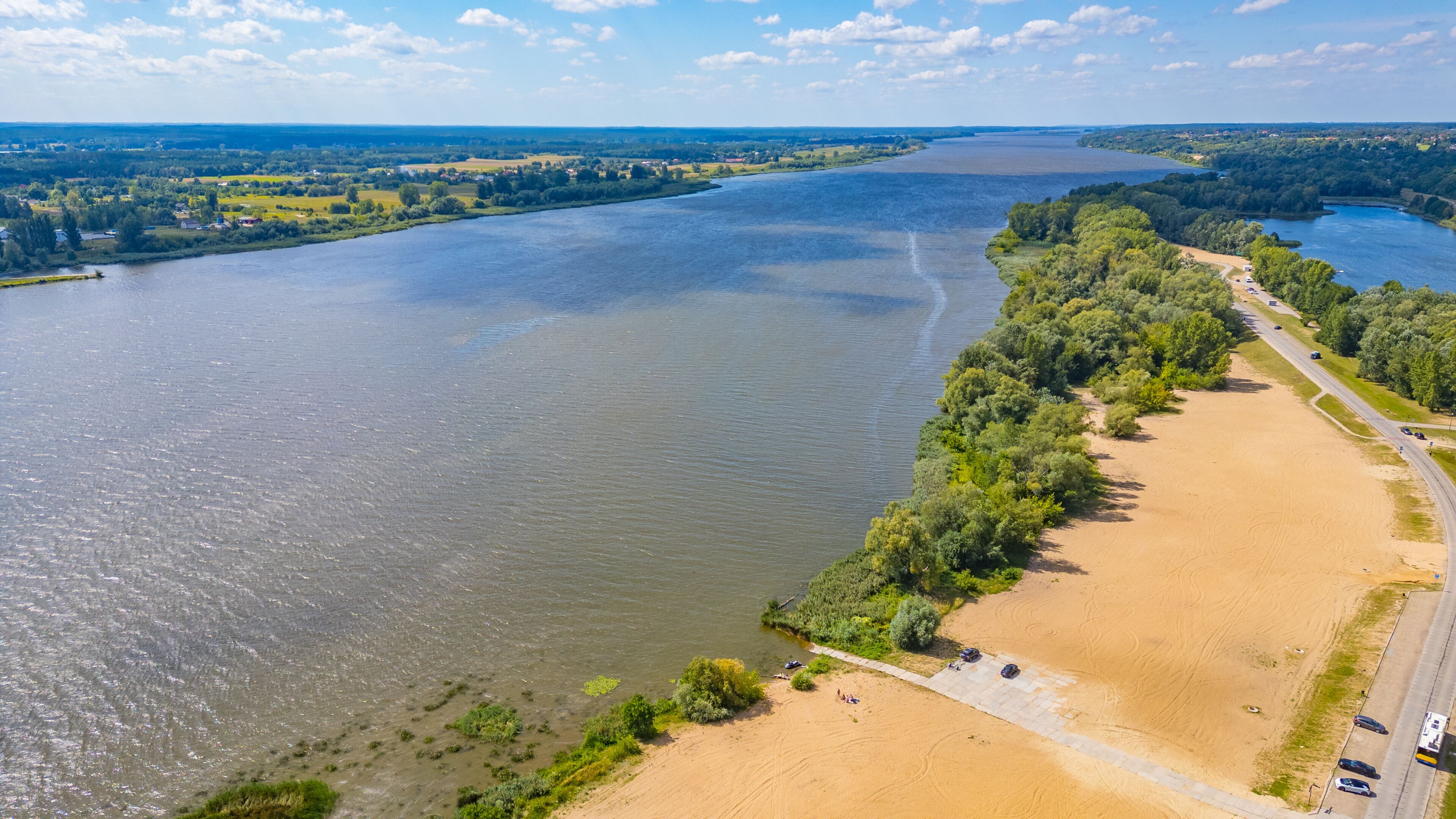 Marshes of Vistula river near Plock, Poland