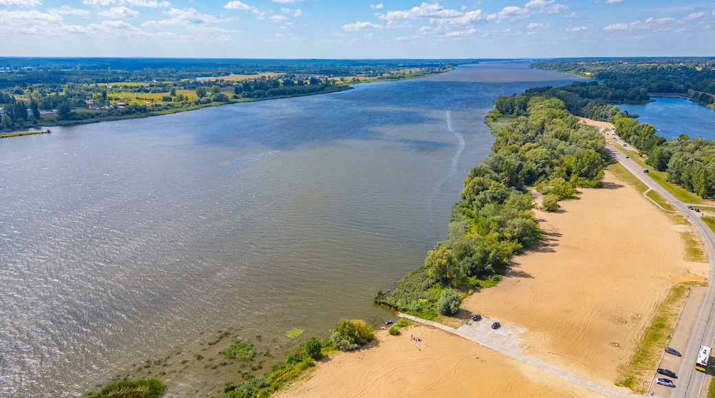 Marshes of Vistula river near Plock, Poland