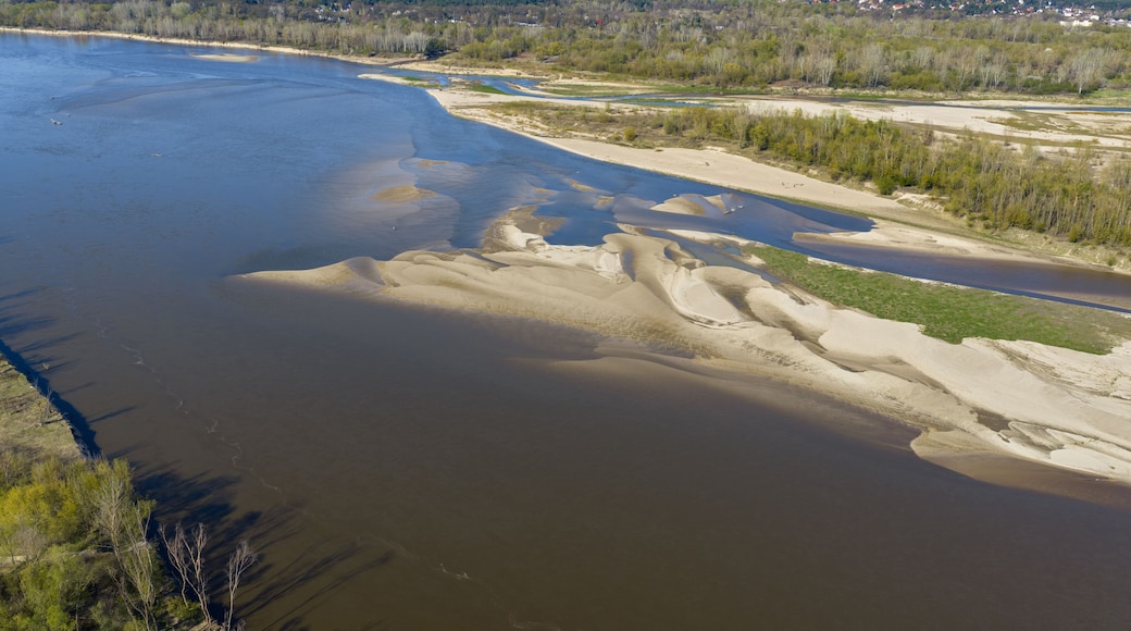 A river with sandy banks and a forested area in the background.