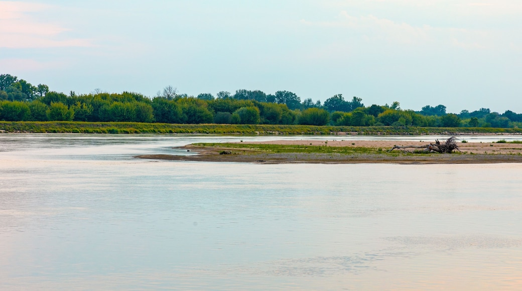 Vistula river landscape at summer early evening with riverside with wild beaches and embankment near Czerwinsk village in Mazovia region of Poland
