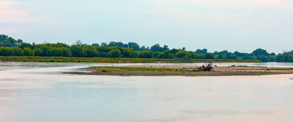 A river with a sandy bank and trees in the background.