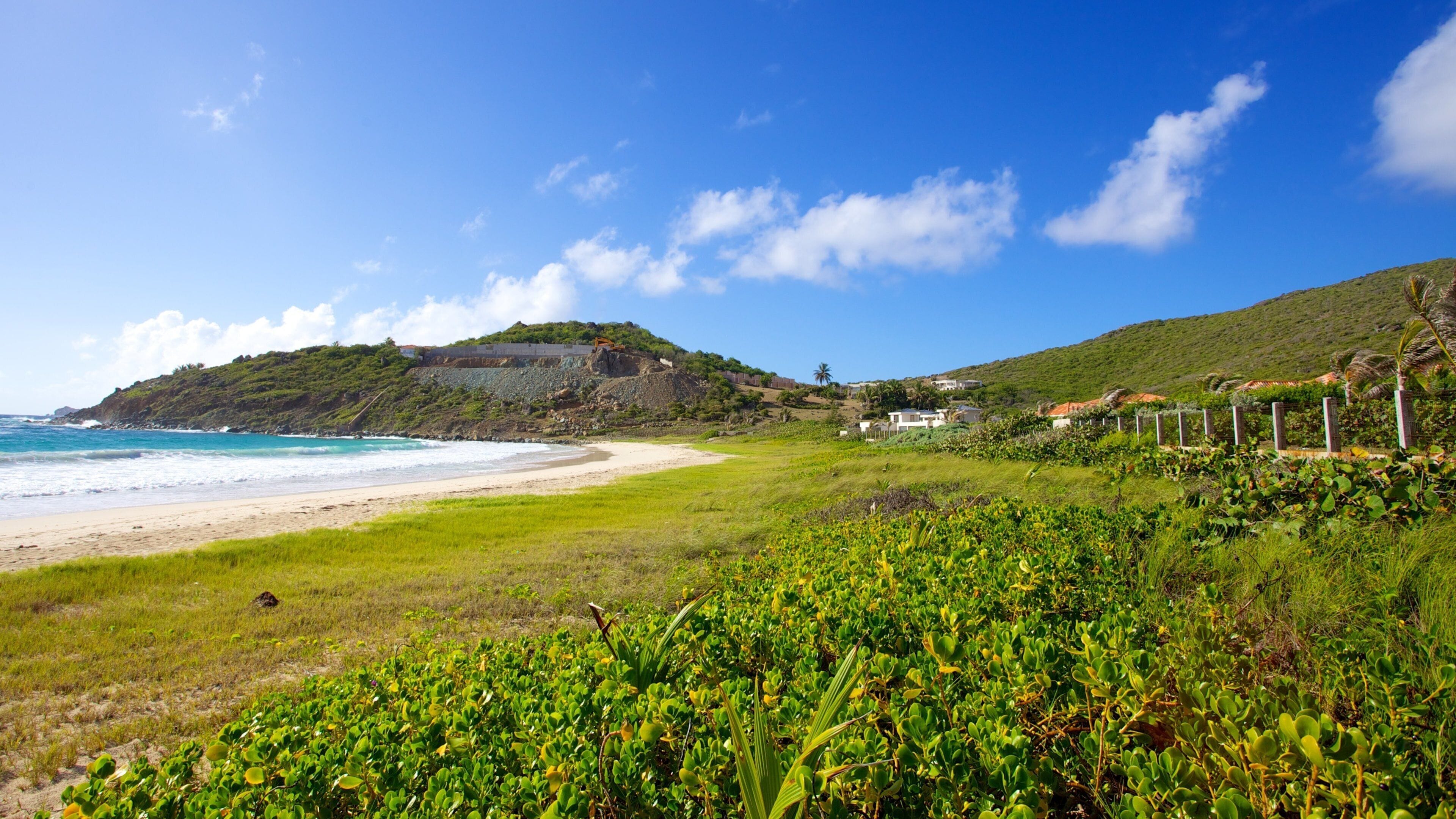 Guana Bay Beach mostrando uma praia de areia, cenas tranquilas e cenas tropicais