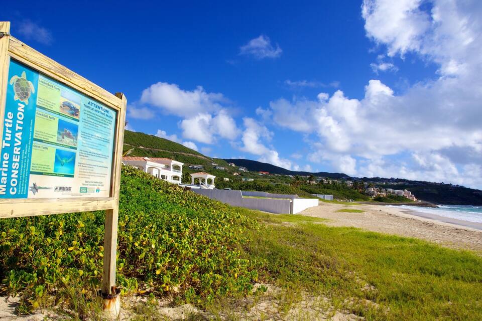 Una platja amb un taulell de fusta sobre la conservació de les tortugues marines, un edifici blanc i una línia de costa.