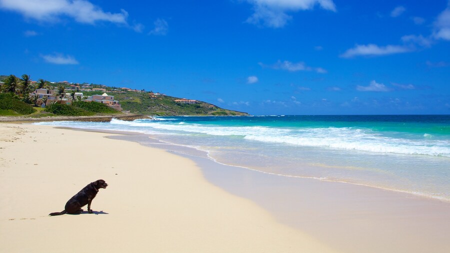 Guana Bay Beach showing a sandy beach, tropical scenes and landscape views
