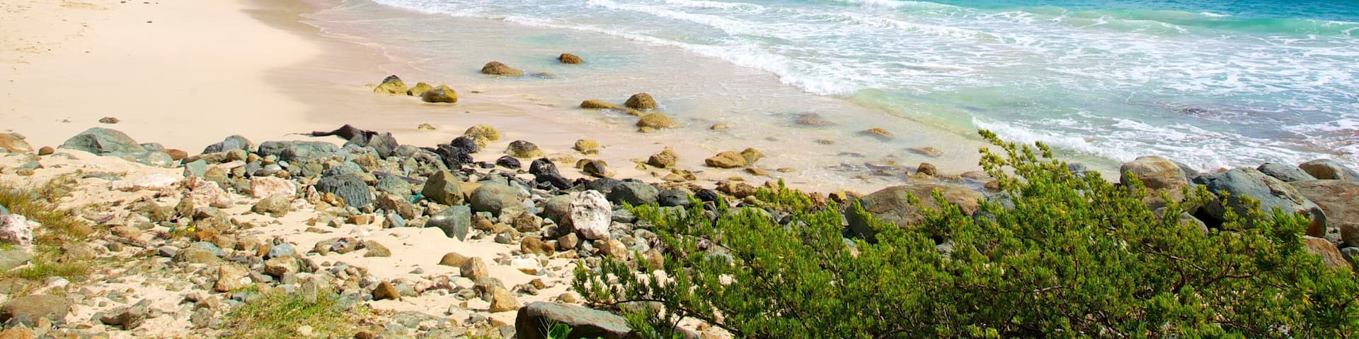 A beach with clear turquoise waters, a sandy shore, and houses on a hillside.