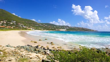 Una playa con aguas turquesas cristalinas, una orilla arenosa y casas en una colina.