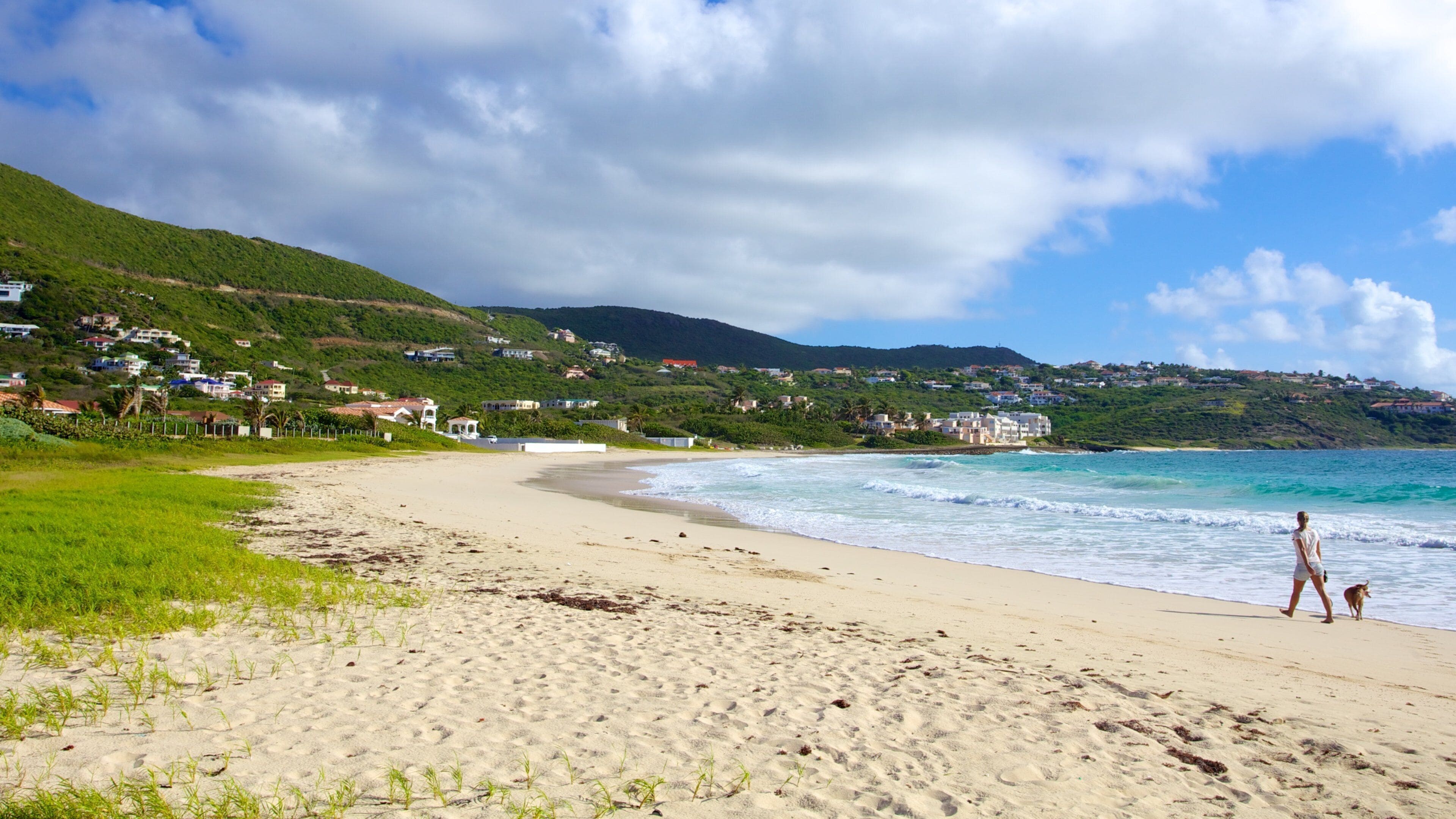 A beach with a person walking a dog, a sandy shore, and houses on a hillside in the background.