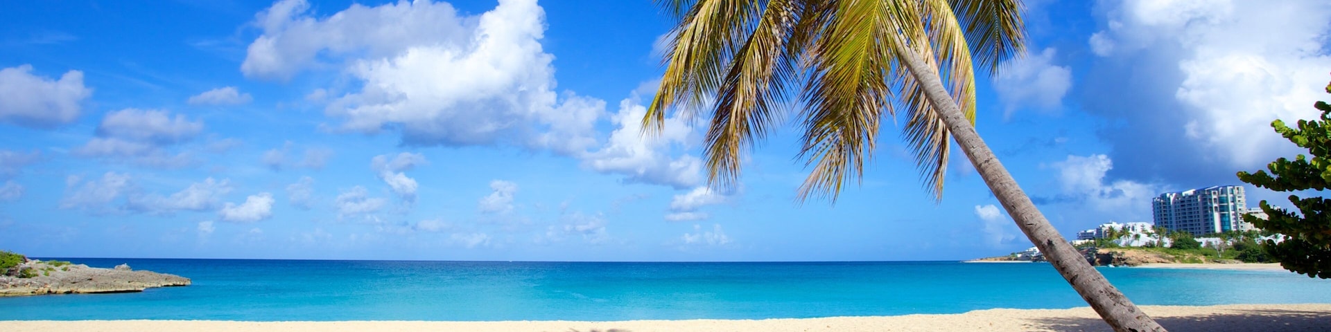 Mullet Beach showing landscape views, general coastal views and tropical scenes