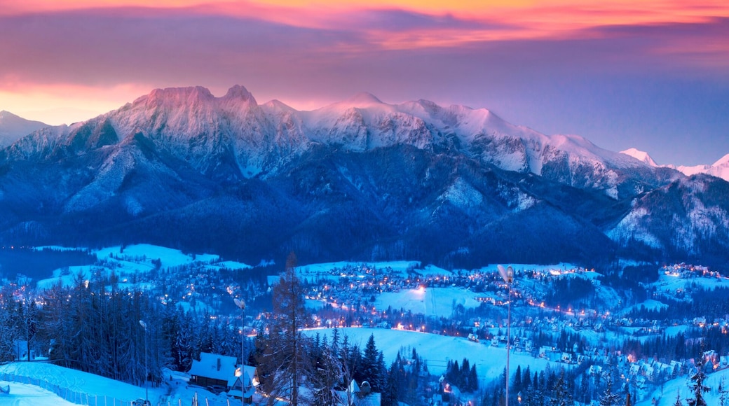 Zakopane at night in the light of the moon.
