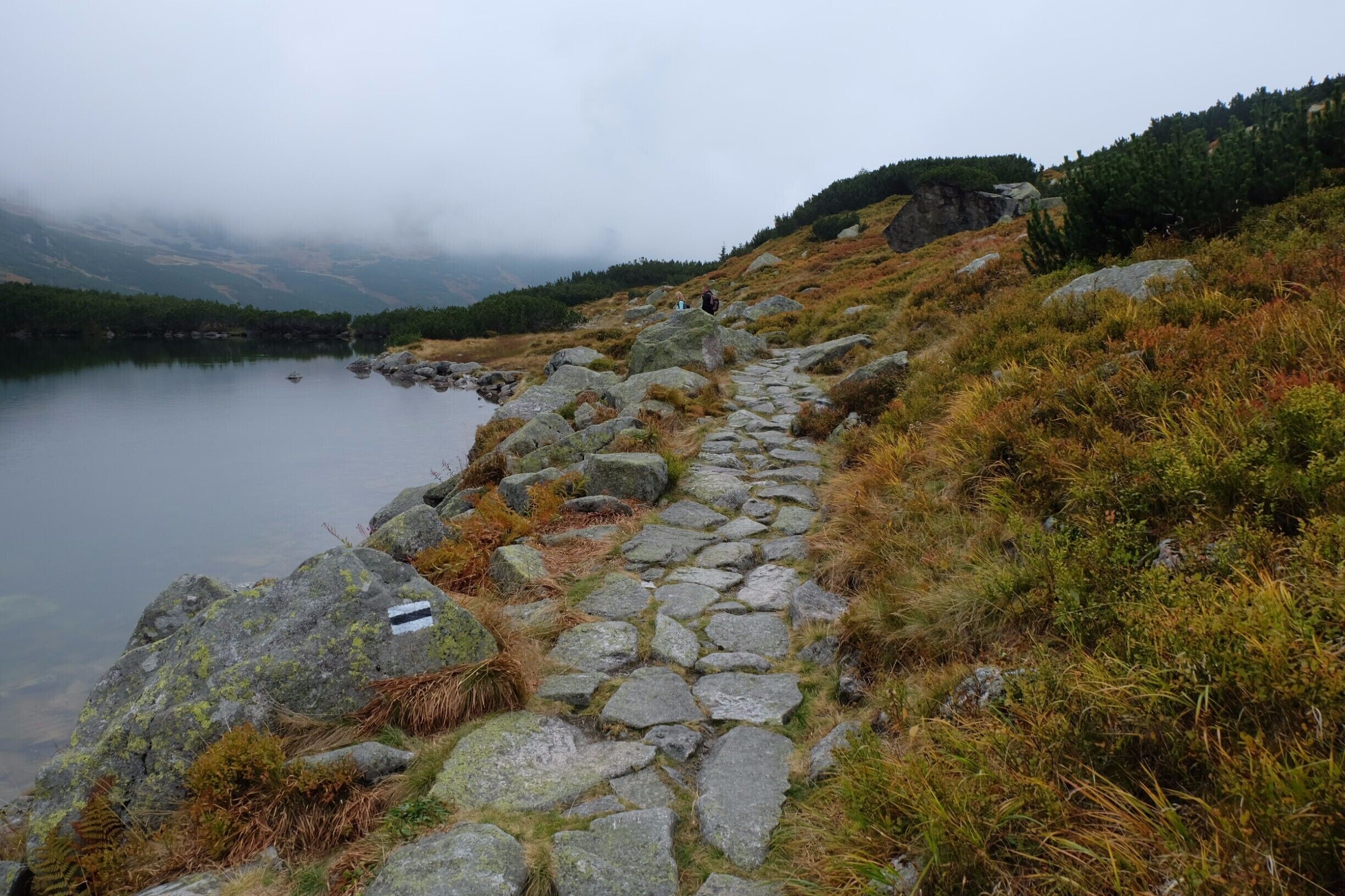 Path around the lakes in the Green valley.
#nationalpark #golden
