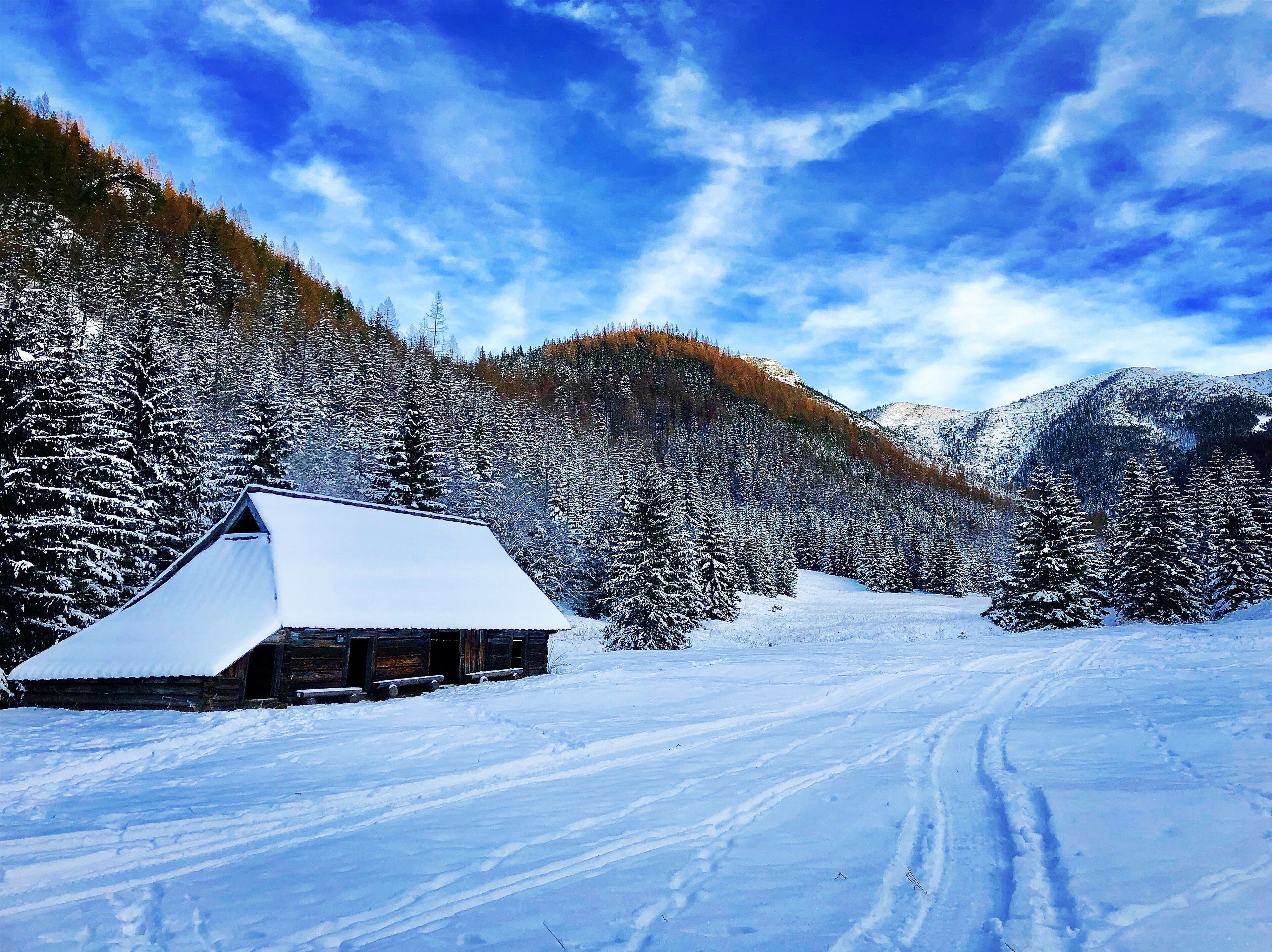 #trovember
#snow
#zakopane
#poland
#hiking