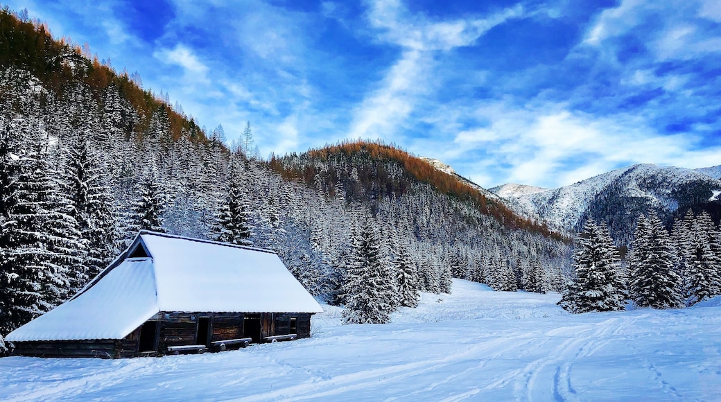 #trovember
#snow
#zakopane
#poland
#hiking