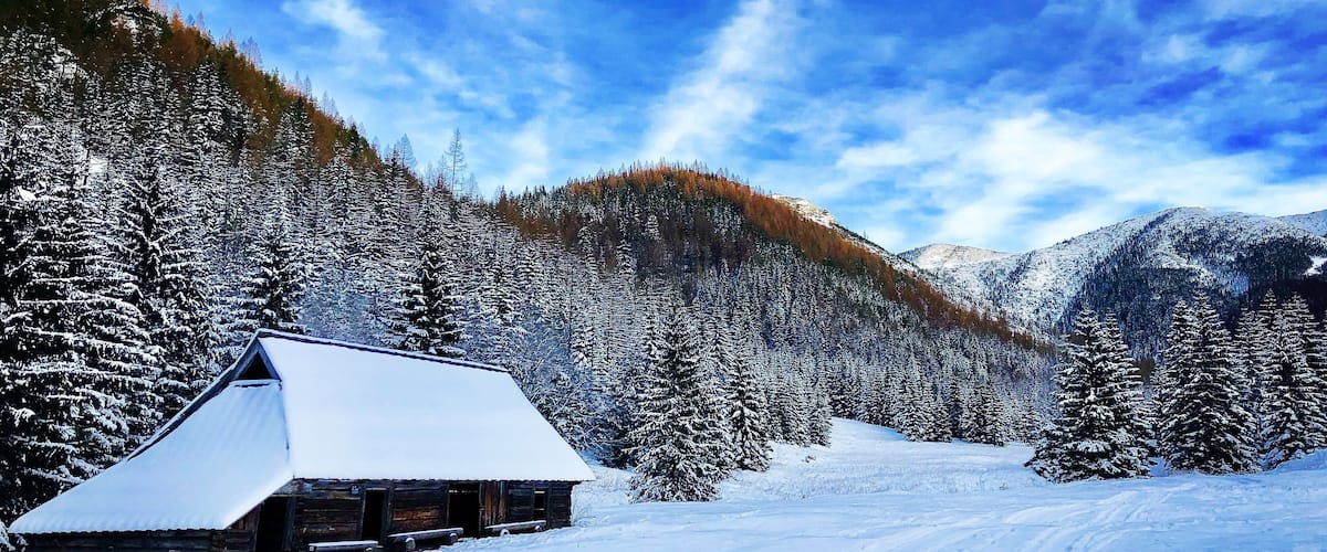 #trovember
#snow
#zakopane
#poland
#hiking