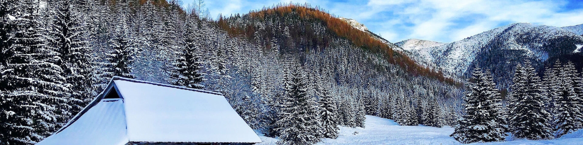 #trovember
#snow
#zakopane
#poland
#hiking