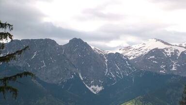 A mountain range with snow-capped peaks and dense forested valleys.
