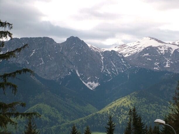 A mountain range with snow-capped peaks and dense forested valleys.