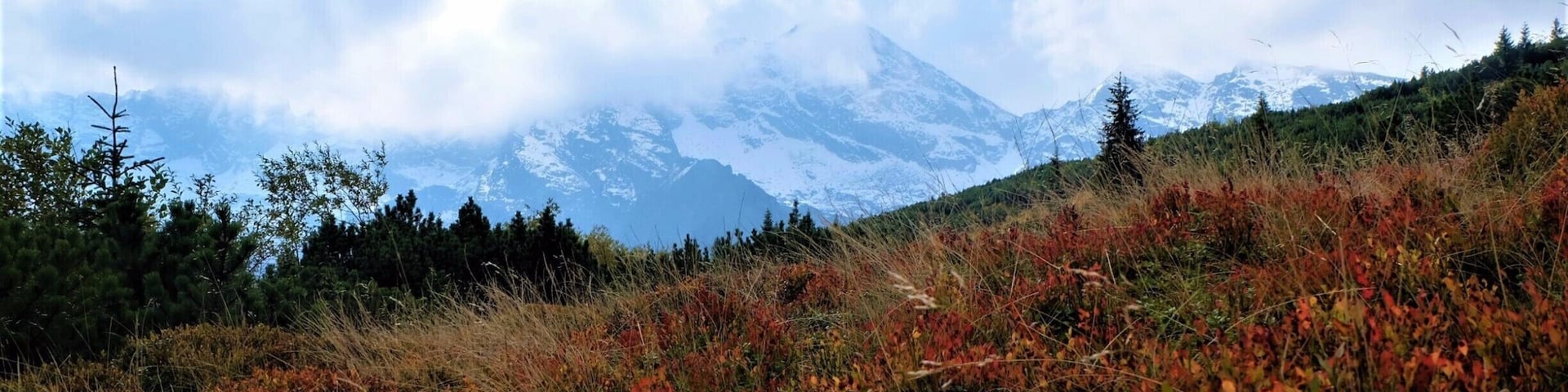 Colours of autumn. #golden