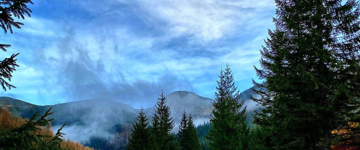A gravel path through a forest with evergreen trees and a mountain in the background.
