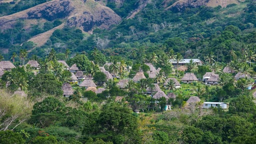 Traditional village of Navala in the Ba Highlands of Viti Levu, Fiji, South Pacific