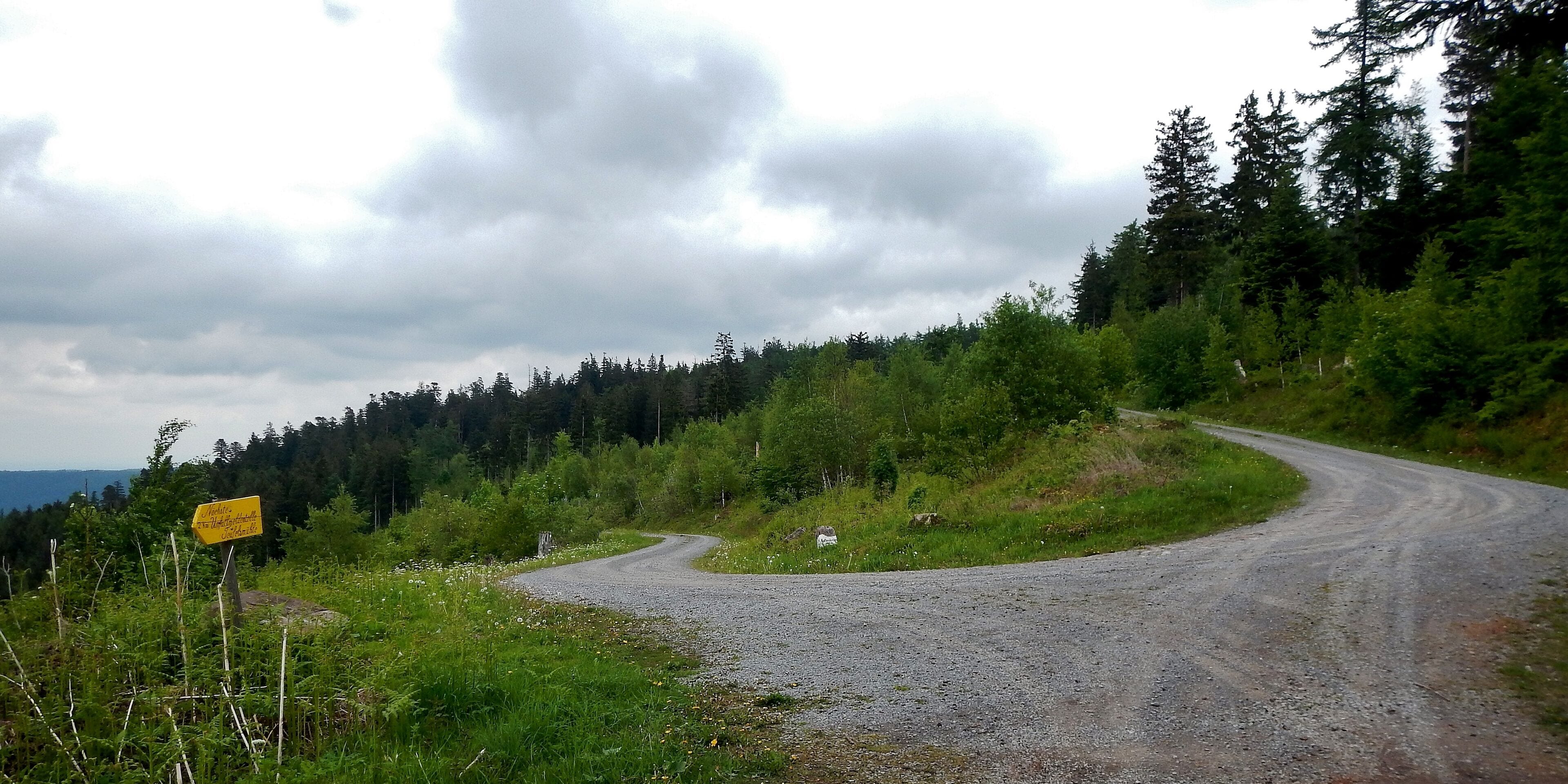 Forstweg im Naturpark Schwarzwald Mitte/Nord