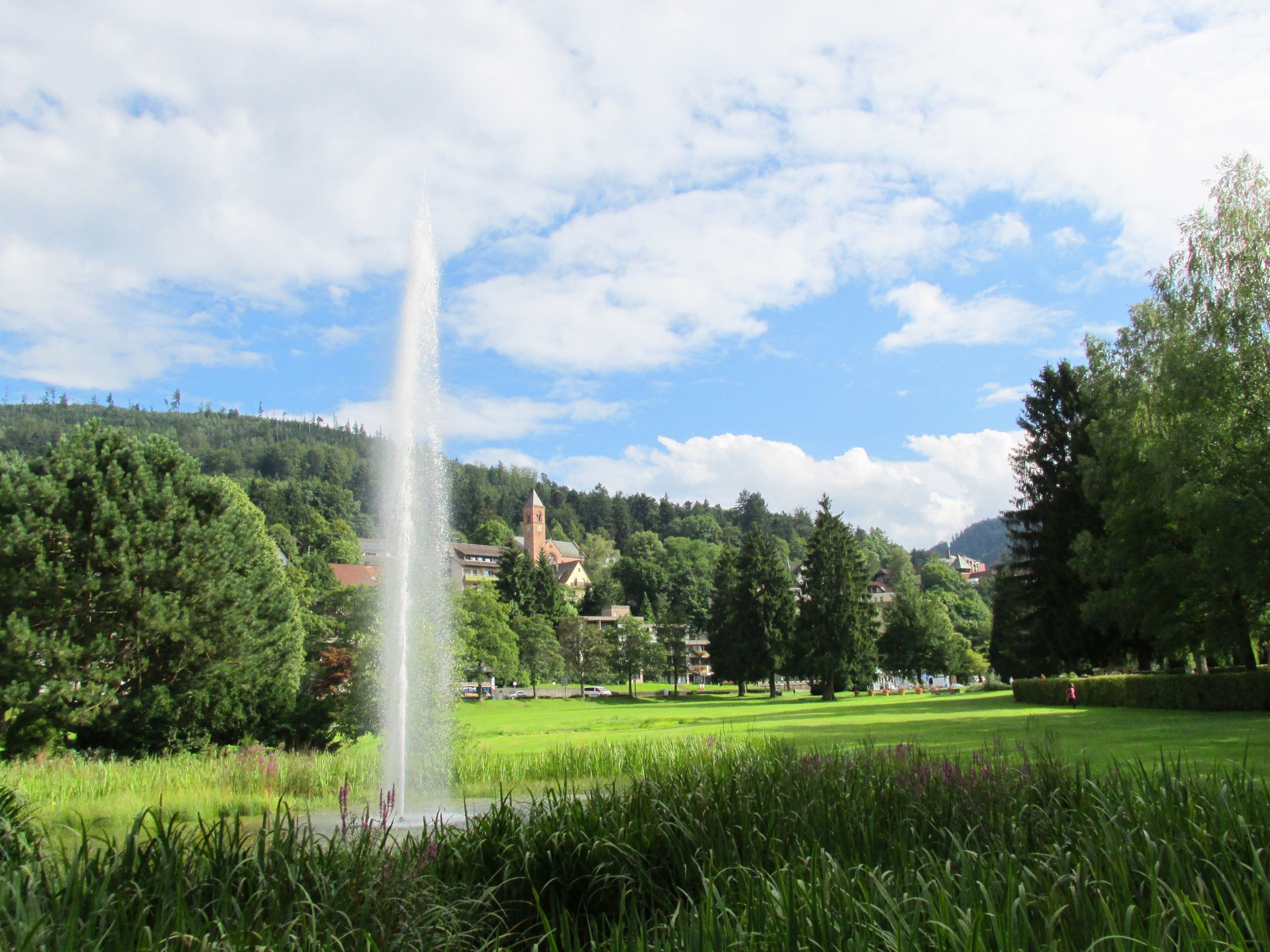 A fountain in a park with a church and houses in the background.