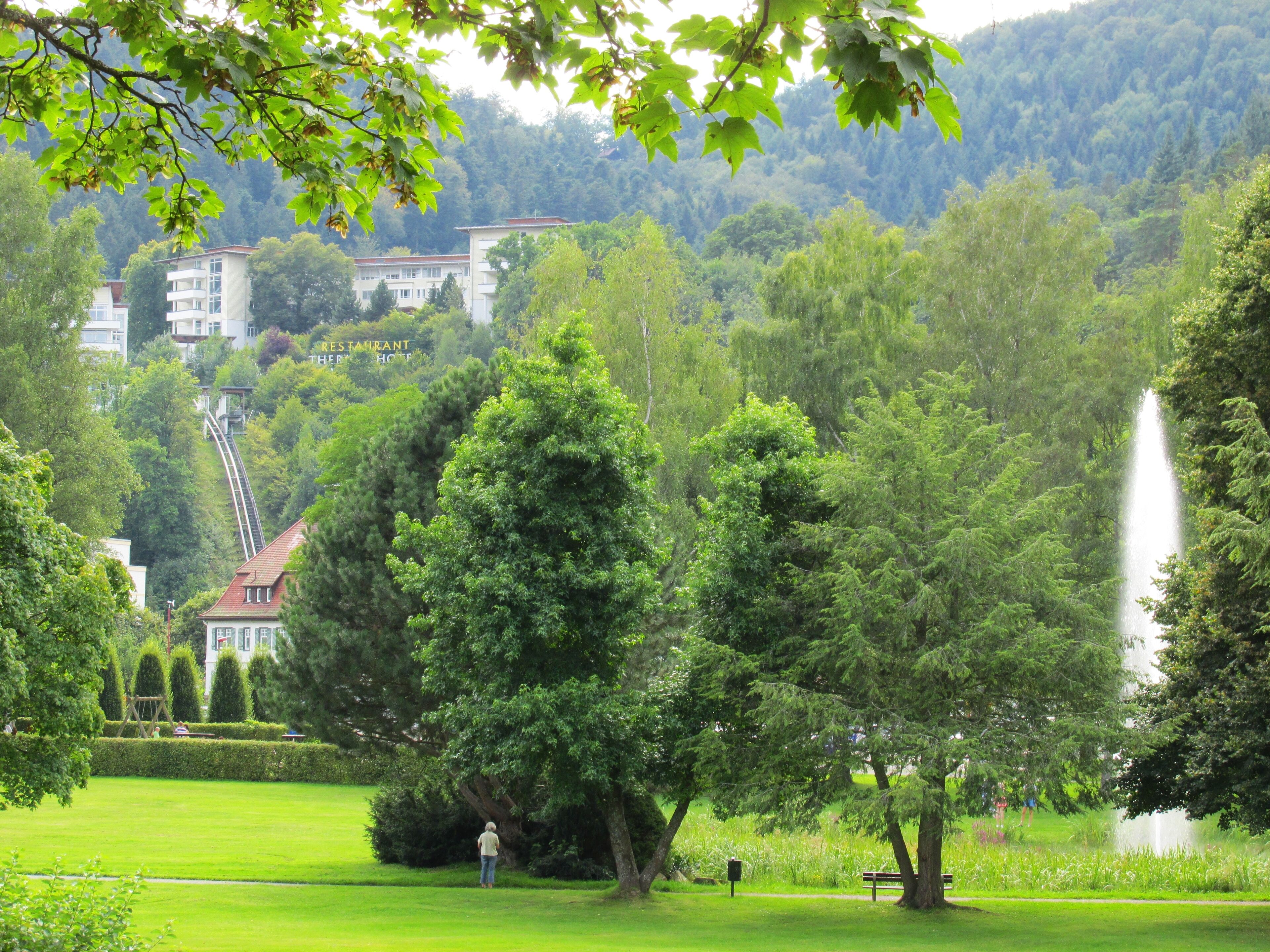 A lush park with a fountain, a large tree, and a building with a sign that reads "RESTAURANT HOTEL".