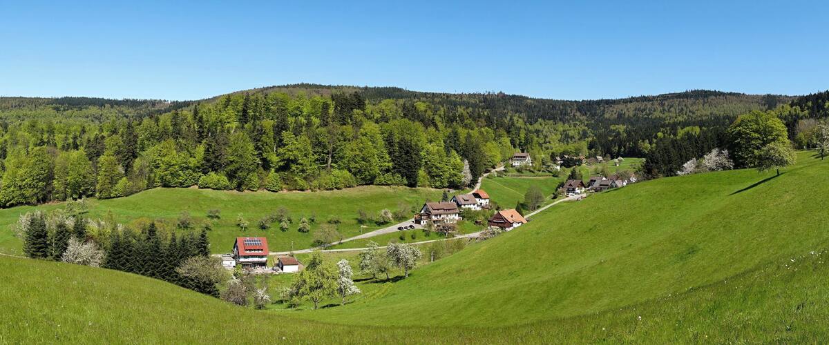 Meadow in Bad Herrenalb