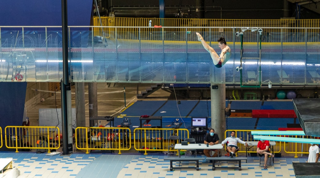 Olympic Park featuring interior views and swimming as well as an individual male