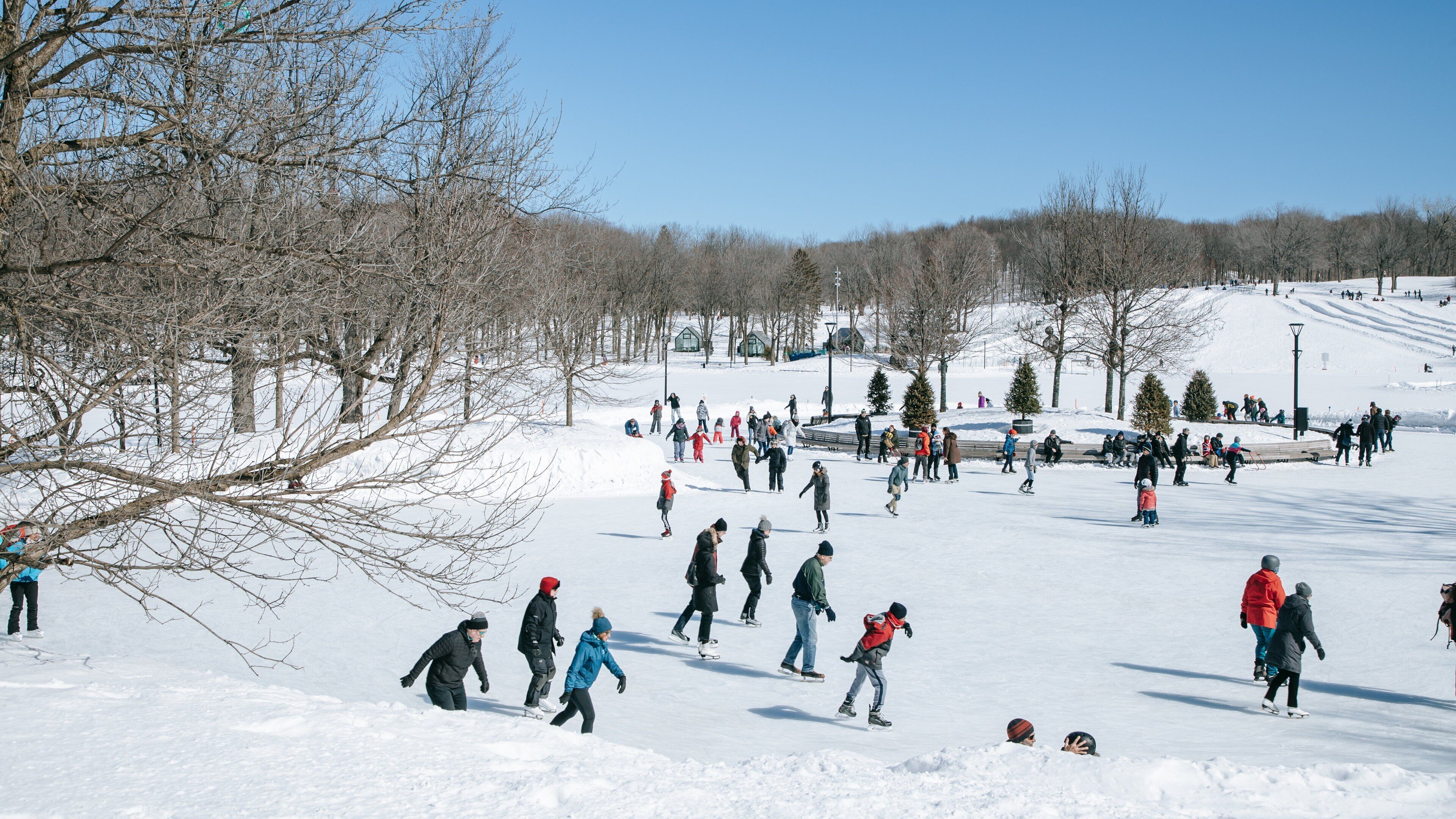 Mount Royal Park which includes snow and ice skating as well as a small group of people