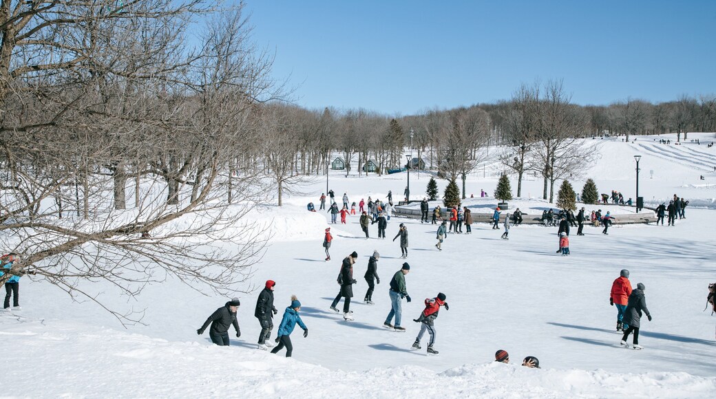 Mount Royal Park which includes snow and ice skating as well as a small group of people