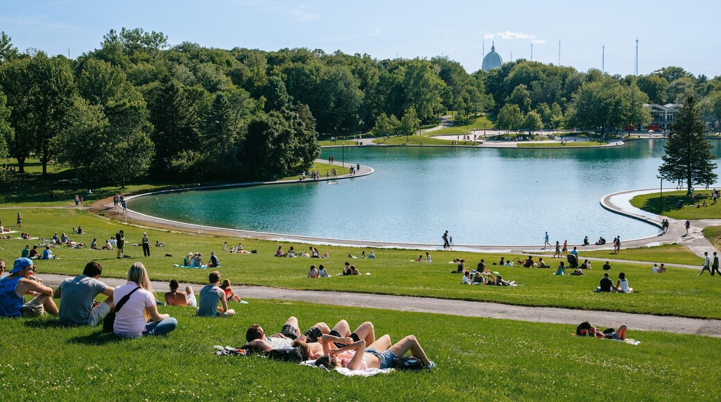 Mount Royal Park featuring a park and a pond as well as a small group of people