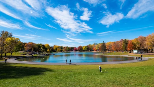 Un parc avec un grand étang, des arbres aux couleurs automnales et un ciel bleu clair.